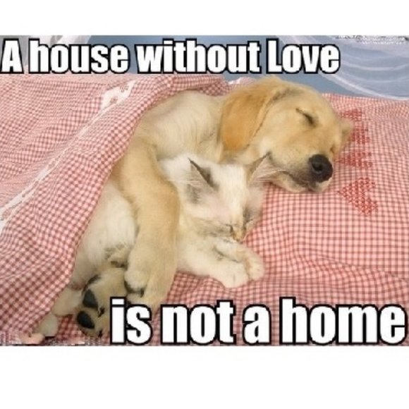 Everything Home